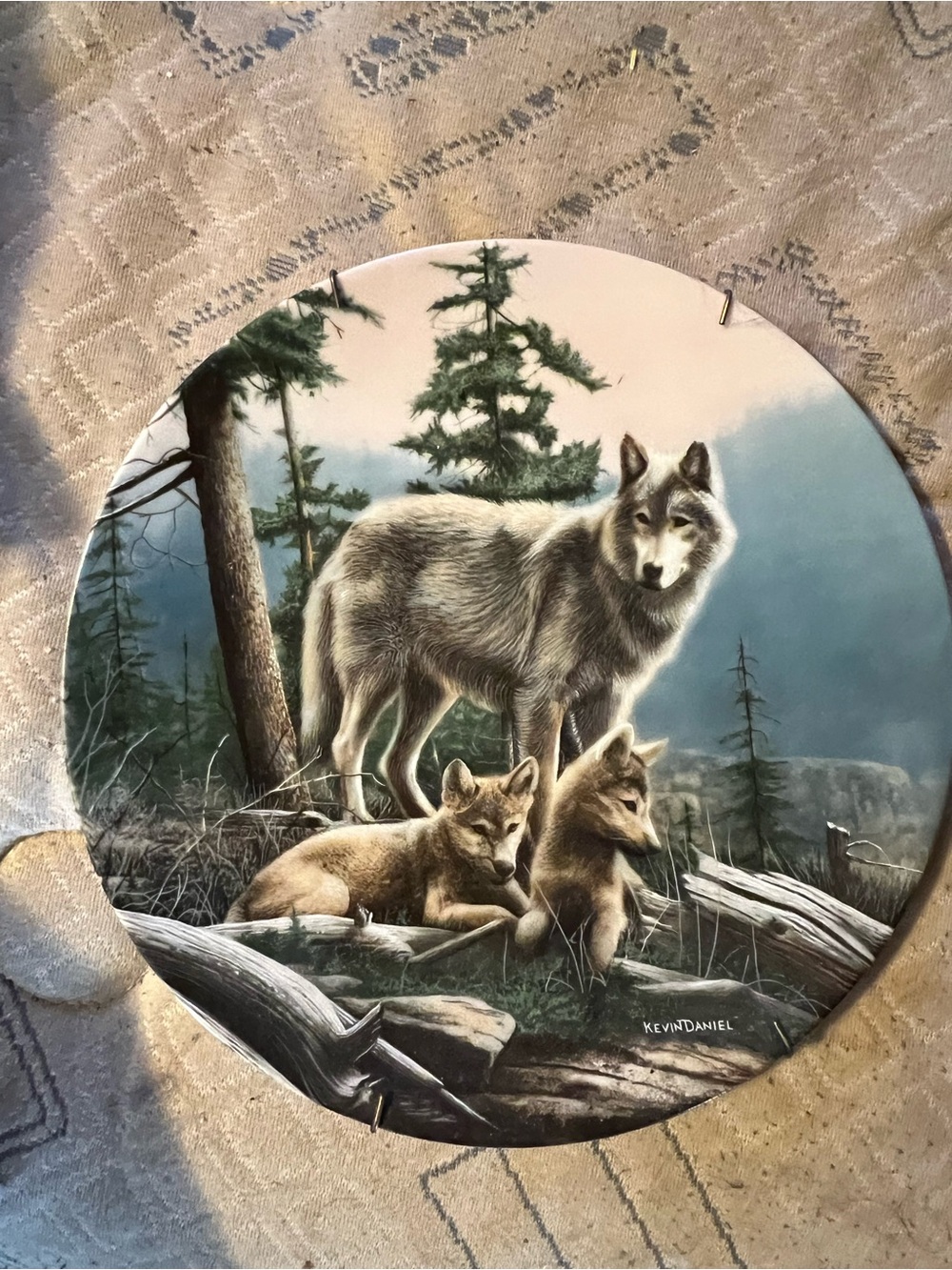 Collector Plate